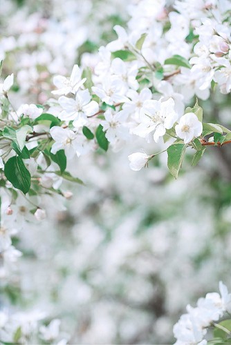 Photo by 嘟小弱