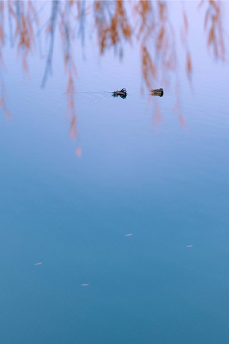 Photo by JINGZ